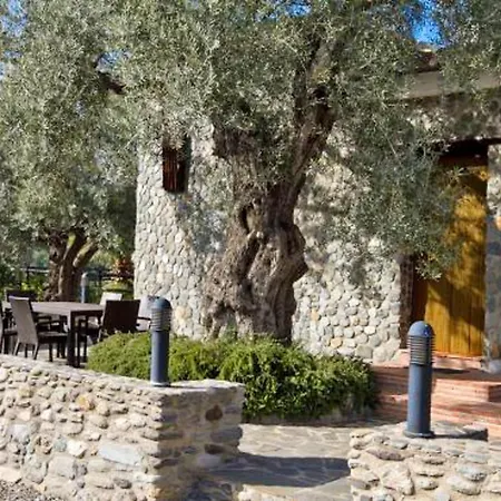 Villa Spacious With Pool - - Mountain View